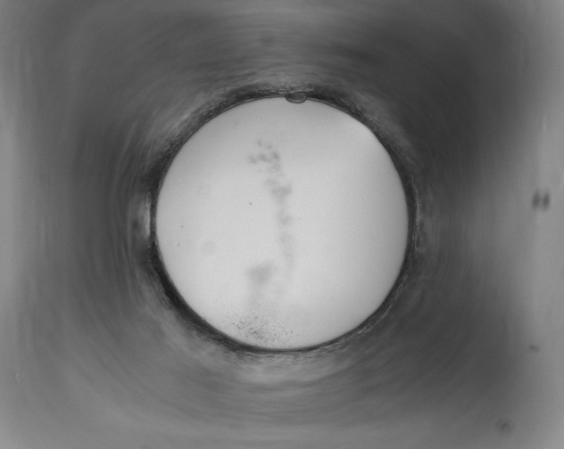 X0000114600021200911161405