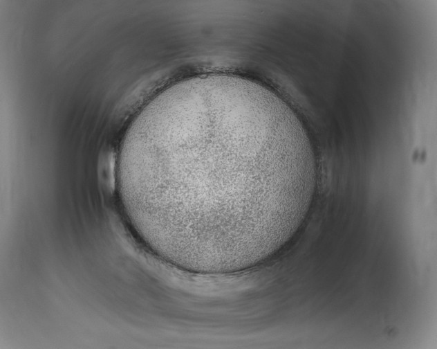 X0000114600022200911161405