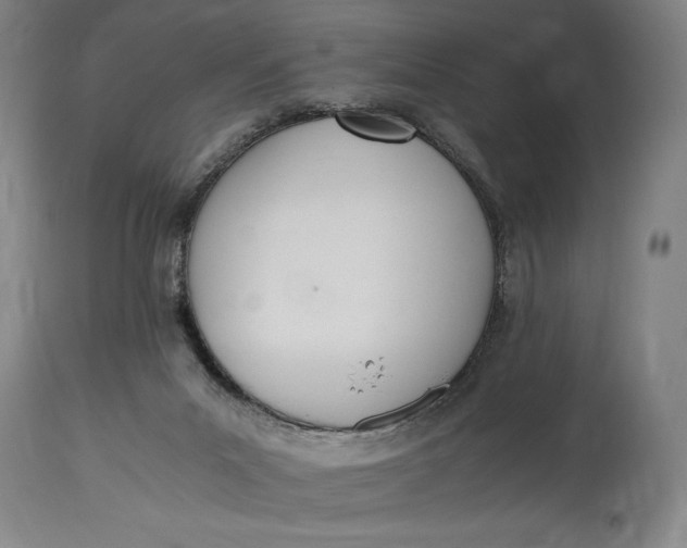 X0000114600023200911161405