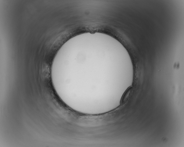 X0000114600025200911161405