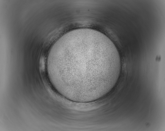 X0000114600026200911161405