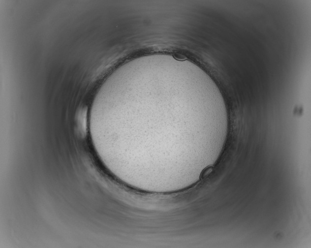 X0000114600028200911161405