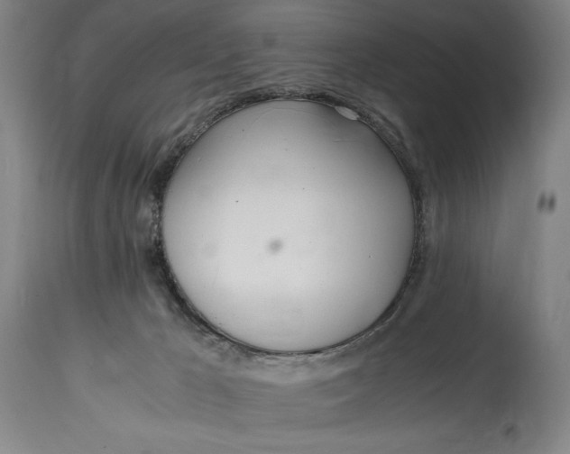 X0000114600029200911161405