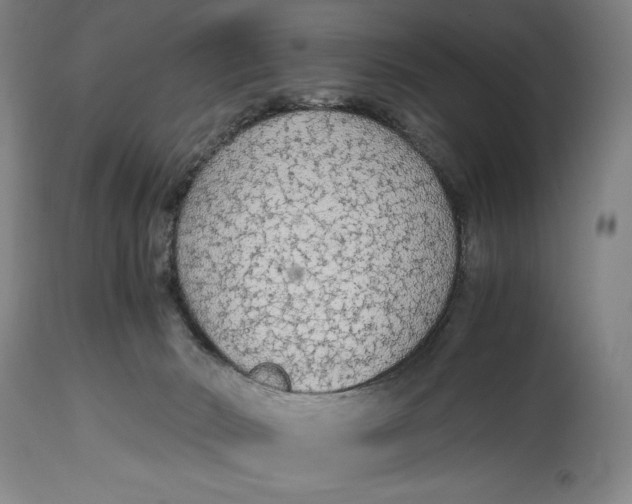 X0000114600030200911161405