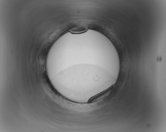 X0000114600031200911161405