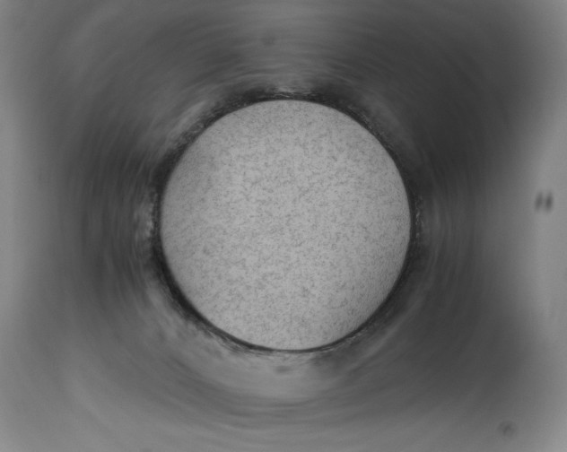 X0000114600032200911161405