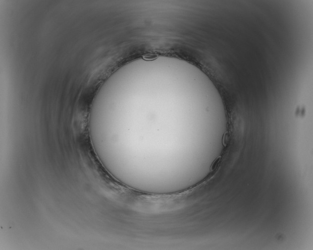 X0000114600033200911161405