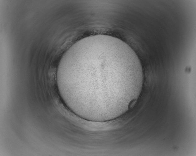 X0000114600034200911161405