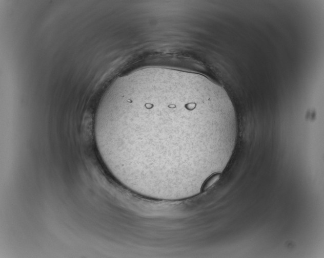 X0000114600036200911161405