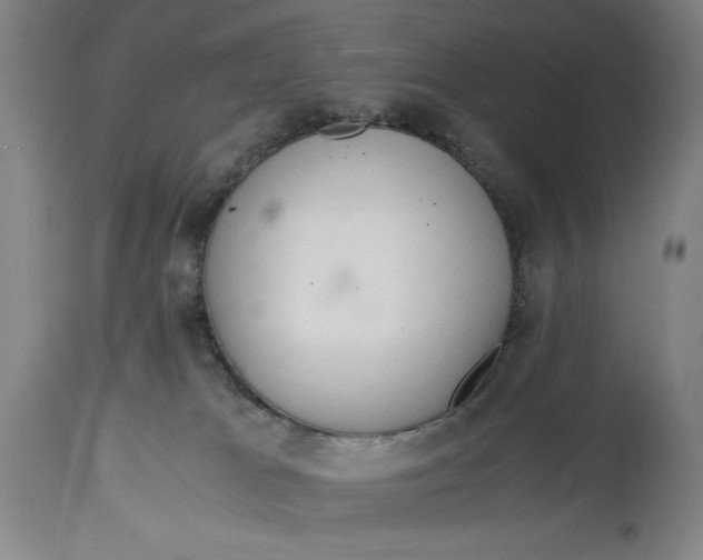 X0000114600037200911161405