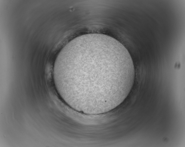 X0000114600038200911161405