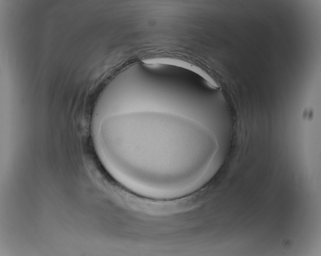 X0000114600039200911161405