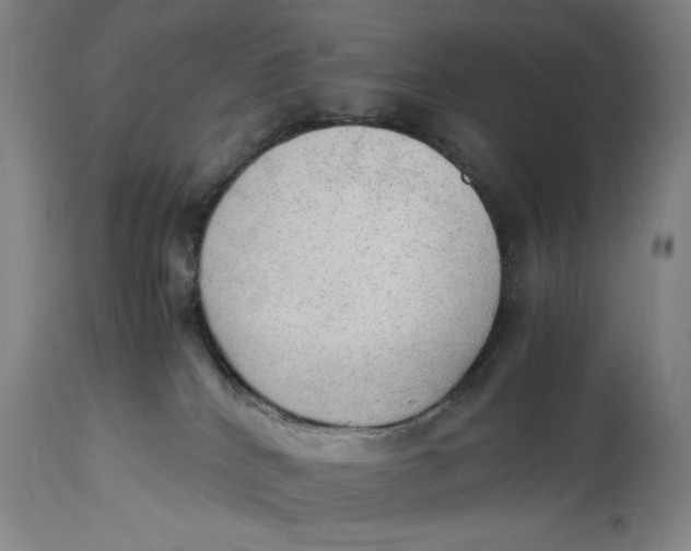 X0000114600040200911161405