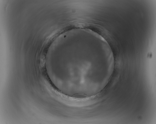 X0000114600043200911161405