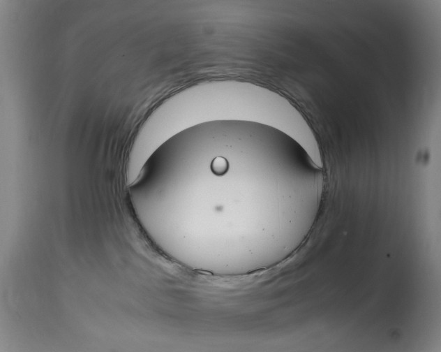 X0000114600045200911161405