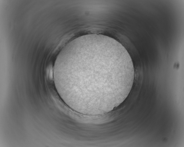 X0000114600046200911161405