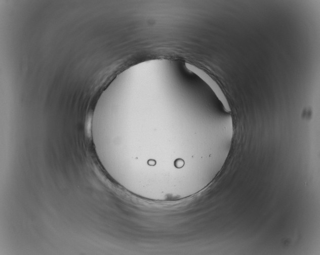 X0000114600047200911161405