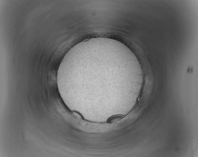 X0000114600048200911161405