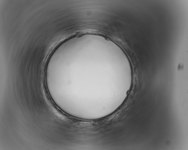 X0000114600049200911161404