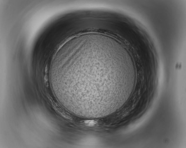 X0000114600050200911161404