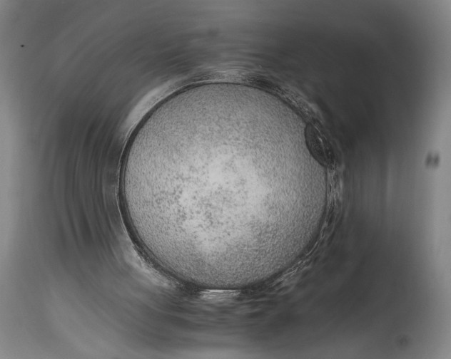 X0000114600051200911161404