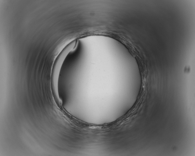 X0000114600052200911161404