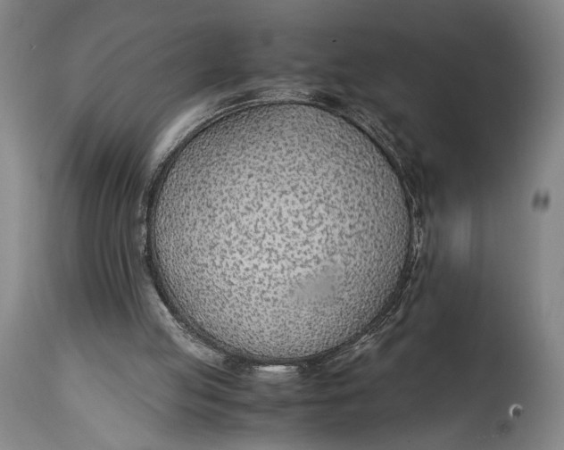 X0000114600053200911161404