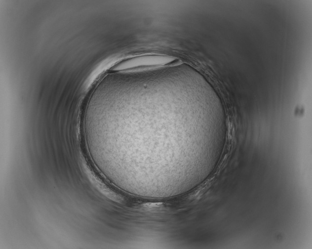 X0000114600054200911161404