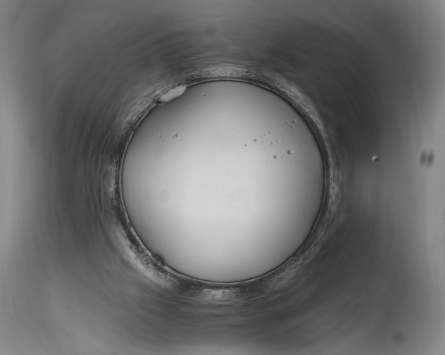 X0000114600057200911161404