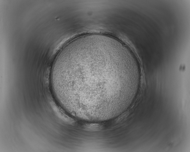 X0000114600058200911161404