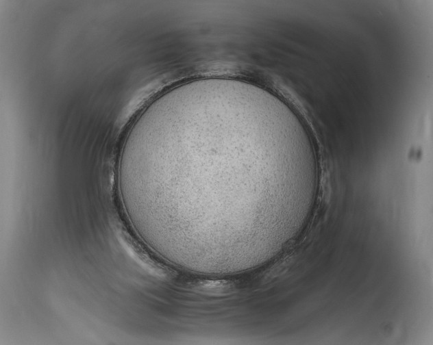 X0000114600059200911161404