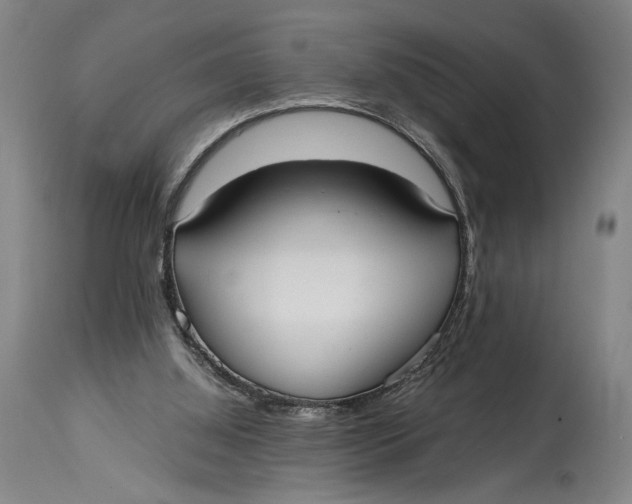 X0000114600060200911161404