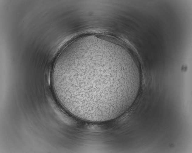 X0000114600062200911161404