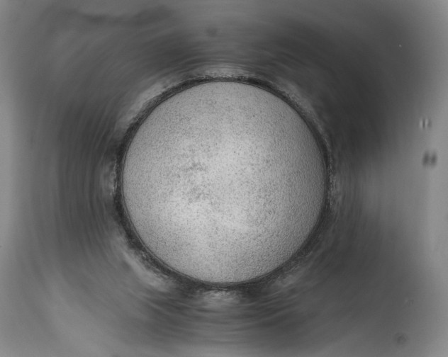 X0000114600063200911161404