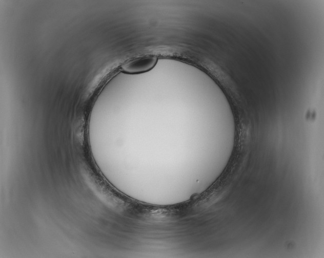 X0000114600064200911161404