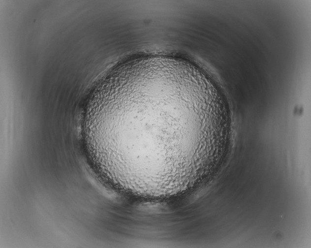 X0000114600065200911161404