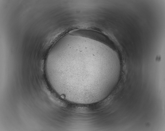 X0000114600066200911161404