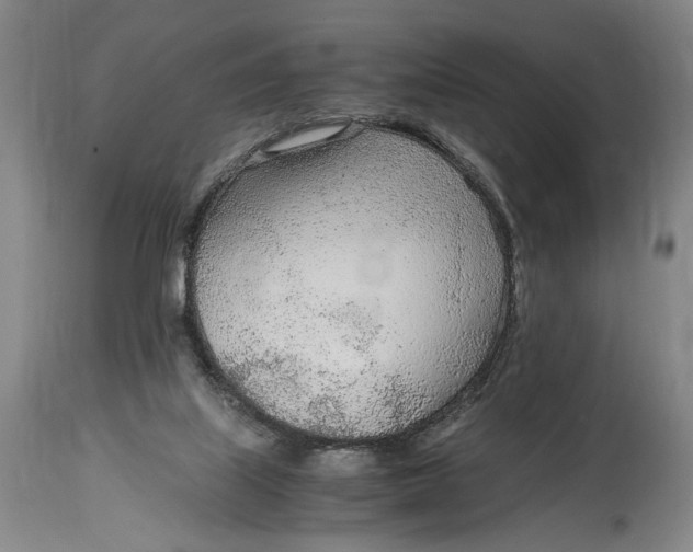 X0000114600067200911161404