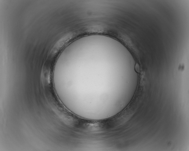 X0000114600068200911161404