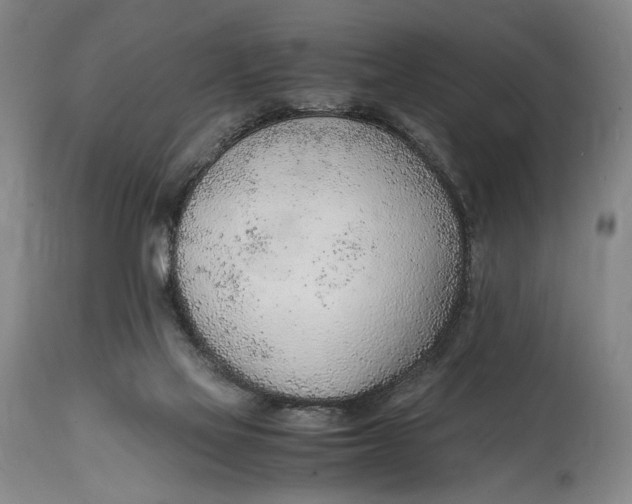 X0000114600069200911161404