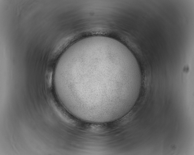 X0000114600070200911161404