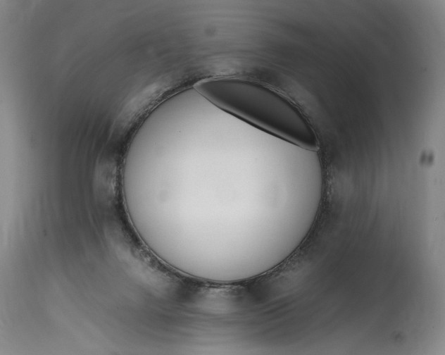 X0000114600072200911161404