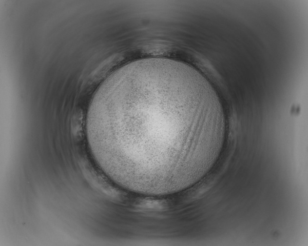 X0000114600073200911161404