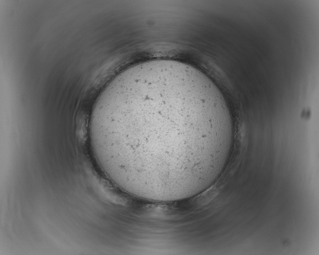 X0000114600074200911161404