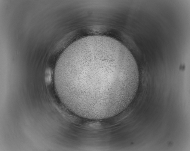 X0000114600075200911161404