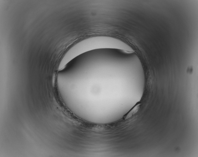 X0000114600076200911161404