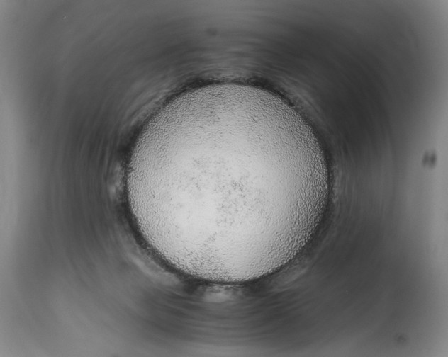 X0000114600077200911161405