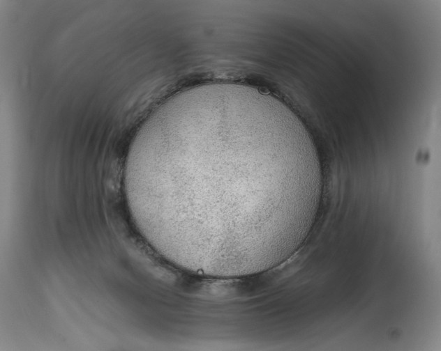 X0000114600078200911161405