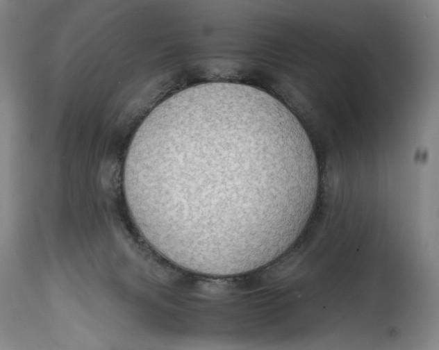 X0000114600079200911161405