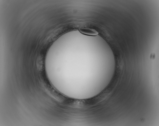 X0000114600080200911161405